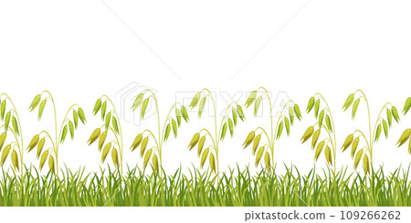 Seamless stripe of oats in grass for design. Green border of field grass. Seamless stripe of oats in grass for design. Green border of field grass. 109266262