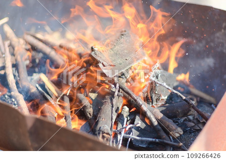 Branches covered in drums are on fire Branches covered in drums are on fire 109266426