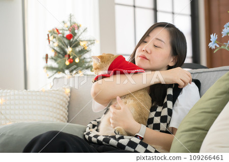 asian woman play with her british cat during derorate christmas and new year in living room asian woman play with her british cat during derorate christmas and new year in living room 109266461