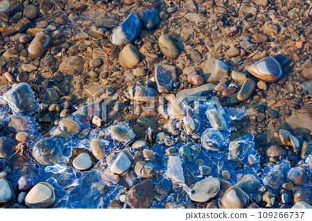 nature texture with ice and stones in the calm water. closeup background of a lake shore in winter; ice, stone, water, texture, winter, lake, background 109266737
