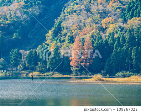 Autumn Lake Biwa Shiozuhama 109267022
