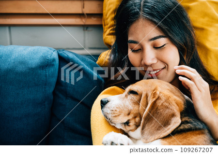 In their living room, a woman and her Beagle dog nap together on the sofa, reflecting the bond of trust and friendship that defines their relationship. It's a portrait of love at home. Pet love 109267207