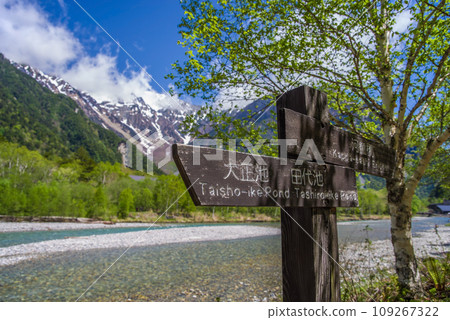 【新綠的壯麗景色！初夏的上高地]從散步道看到的穗高山脈 109267322