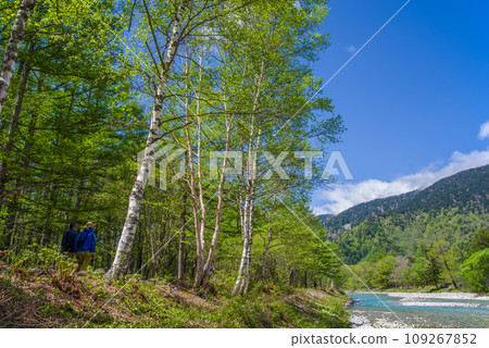 《新綠的壯麗景色！初夏的上高地》梓川沿岸散步道 109267852