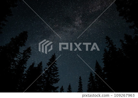 Milky Way Galaxy over the forest Milky Way Galaxy over the forest 109267963