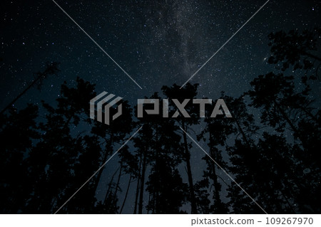 Stars in night sky Stars in night sky 109267970