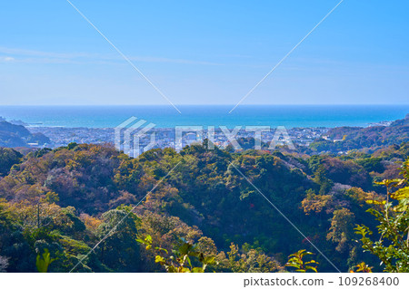 Southern view from Kenchoji Katsujoken Observation Deck on Tenen Hiking Course in Kamakura City in autumn (Kamakura City, Sagami Bay, etc.) 109268400