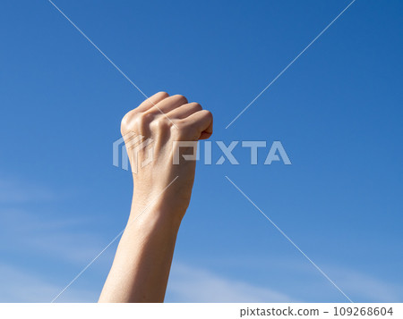 A fist raised towards the blue sky. 109268604