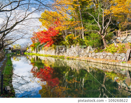 Autumn Omihachiman Hachimanbori Autumn Omihachiman Hachimanbori 109268622