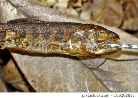 Smoked mountain fish 109268633