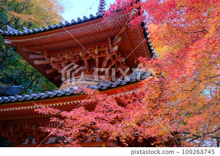 Bell tower wrapped in autumn leaves Bell tower wrapped in autumn leaves 109268745