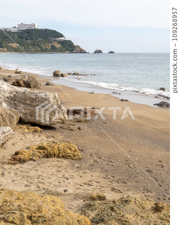 Koijigahama. Tahara City, Aichi Prefecture. (Vertical composition) Koijigahama. Tahara City, Aichi Prefecture. (Vertical composition) 109268957