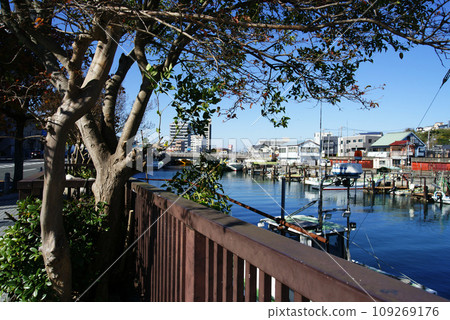 Hirasakugawa, Kurihama, Yokosuka City 109269176