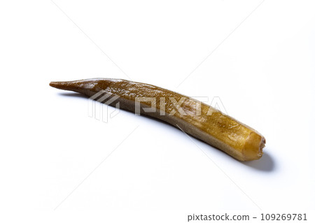 Okra slices isolated on white background. Close up 109269781