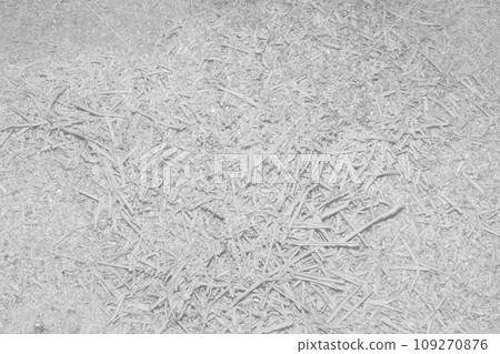 White Natural Wood Shavings Waste Recycling Industrial Material Sawdust White Natural Wood Shavings Waste Recycling Industrial Material Sawdust 109270876