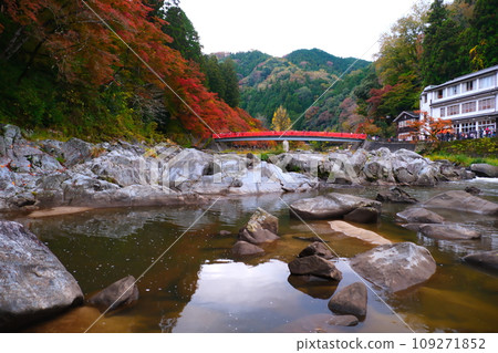 Autumn leaves of Konami River Autumn leaves of Konami River 109271852