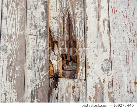 Boards with chipped paint. Old broken wooden boards. Background from boards. Abandoned place. Broken wooden items. 109273440