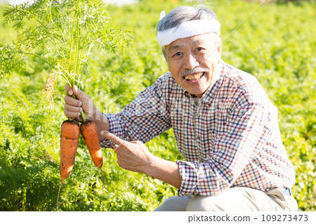 Men harvesting vegetables 109273473