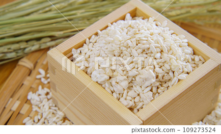 Rice Jiuqu and Inaho 109273524