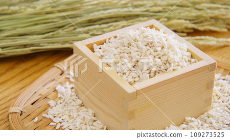 米九曲和稻穗 米九曲和稻穗 109273525