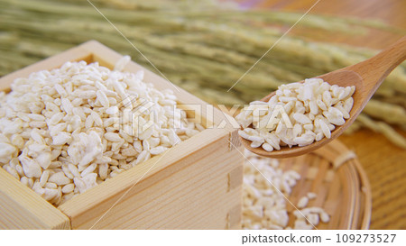 Rice Jiuqu and Inaho 109273527