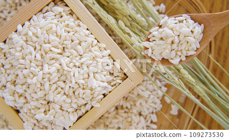 Rice Jiuqu and Inaho Rice Jiuqu and Inaho 109273530