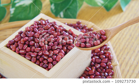 小豆和小豆 小豆和小豆 109273730