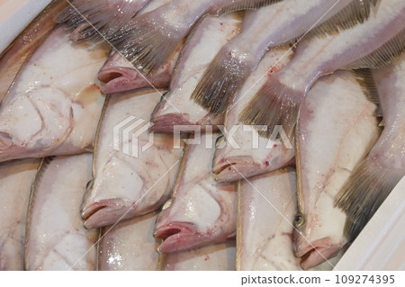 Auction at the port market Karo Port Flatfish Auction at the port market Karo Port Flatfish 109274395