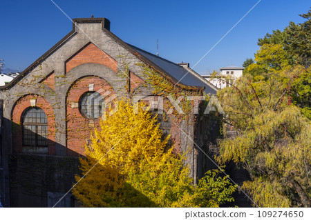 Kyoto in autumn, yellowed ginkgo trees and the second stage of Keage Power Plant Kyoto in autumn, yellowed ginkgo trees and the second stage of Keage Power Plant 109274650