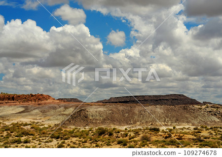 Rugged and Desolate Landscape Petrified Forest Arizona Rugged and Desolate Landscape Petrified Forest Arizona 109274678