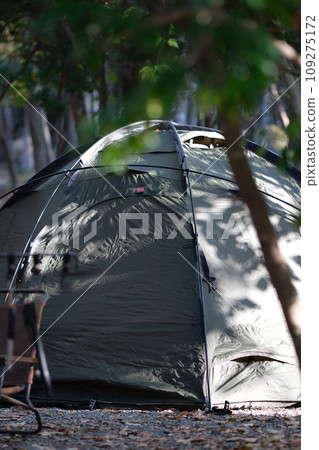 A tent in the forest shining in the morning sun 109275172