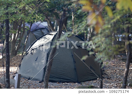 Sumika dome tent in the forest Sumika dome tent in the forest 109275174
