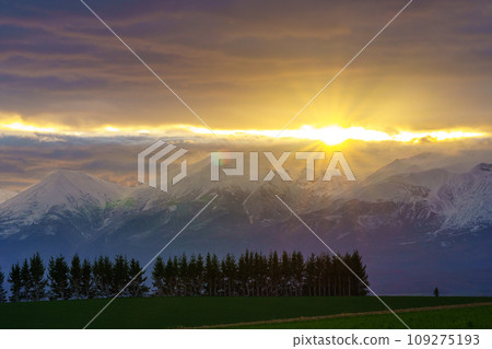 Biei dawn Hokkaido tourism Biei dawn Hokkaido tourism 109275193