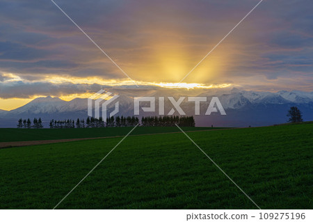 Biei dawn Hokkaido tourism 109275196
