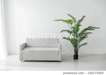 Grey office sofa with green plant in white room interior 109275660
