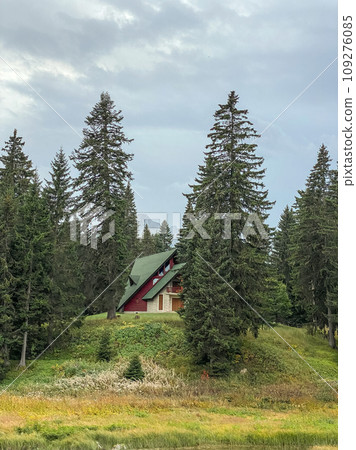 Wonderful view on forest and small house 109276085