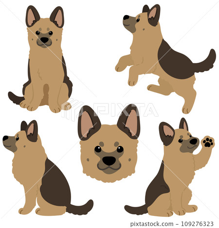 Simple and cute German shepherd illustration set without main lines 109276323