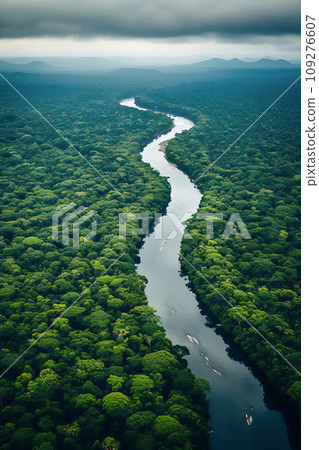 Aerial perspective of a snaking river cutting through the expansive greenery of a tropical rainforest under overcast skies 109276607