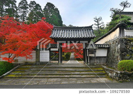 Famous spot for maple leaves Ikkyuji Temple main gate in Kyotanabe City 109278580