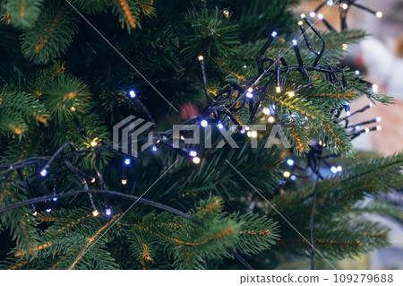 New Year's decorations on green spruce branches New Year's decorations on green spruce branches 109279688