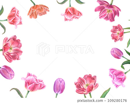 Horizontal frame with blooming tulips. Flowers with green leaves. Spring romance composition with copy space for text. Watercolor illustration. For Save the date, Valentines day cards 109280176