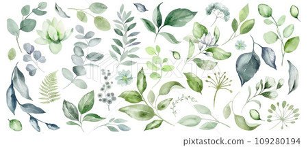 Set of green leaves and flowers on an isolated background. Watercolor botanical vegetation leafset hand drawn. Herbal clipart of fresh plants. Exotic assortment of foliage. 109280194