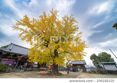 [No. 5 Fudasho] Jizo-ji Temple Tarachine Daiginko [Shikoku 88 places] 109280320