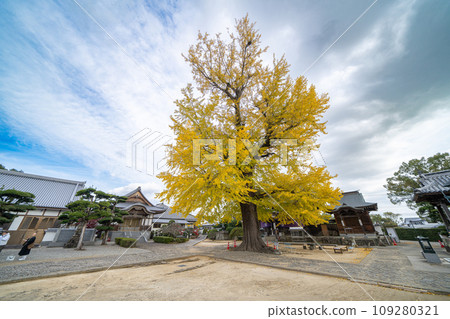 [不. 5 Fudasho] 地藏寺 Tarachine Daiginko [四國 88 個地方] 109280321