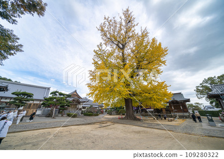 [No. 5 Fudasho] Jizo-ji Temple Tarachine Daiginko [Shikoku 88 places] 109280322