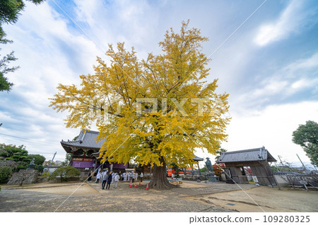 [No. 5 Fudasho] Jizo-ji Temple Tarachine Daiginko [Shikoku 88 places] 109280325