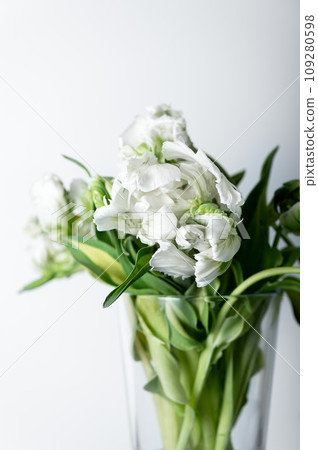Bunch of Parrot Style Tulips 109280598