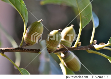 Arakashi no Oe 109280904