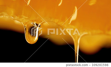 Honey dripping from honeycombs extreme macro.Natural bees wax cells, gold elixir Honey dripping from honeycombs extreme macro.Natural bees wax cells, gold elixir 109281598