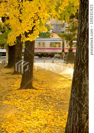 Keisei train and ginkgo trees at Katsushika Hachimangu Shrine Keisei train and ginkgo trees at Katsushika Hachimangu Shrine 109281925